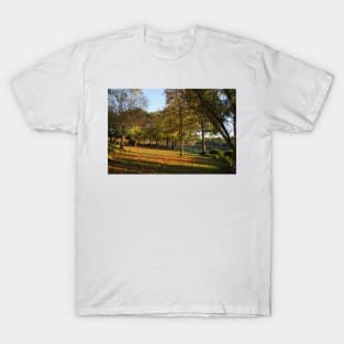 Autumn Leaves - Magpie Springs - Adelaide Hills - Fleurieu Peninsula by South Australian artist Avril Thomas T-Shirt